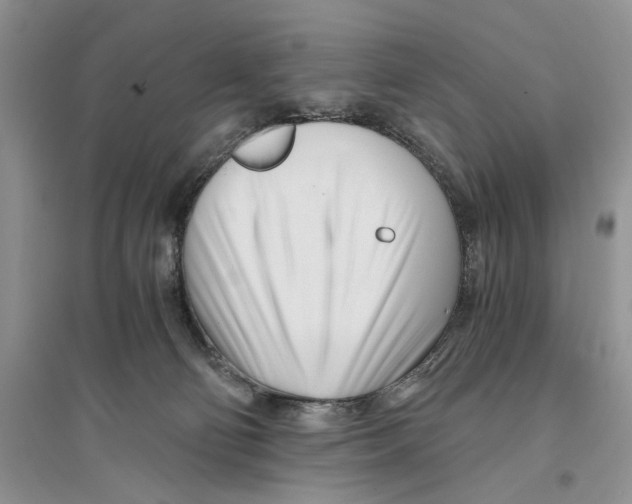 X0000096200130200802151534