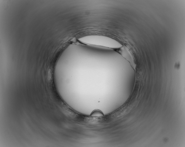 X0000096200131200802151534