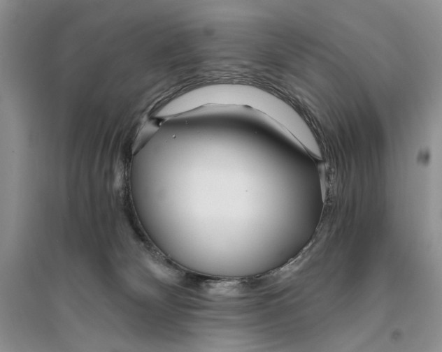 X0000096200132200802151534