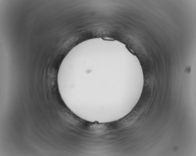 X0000096200133200802151534