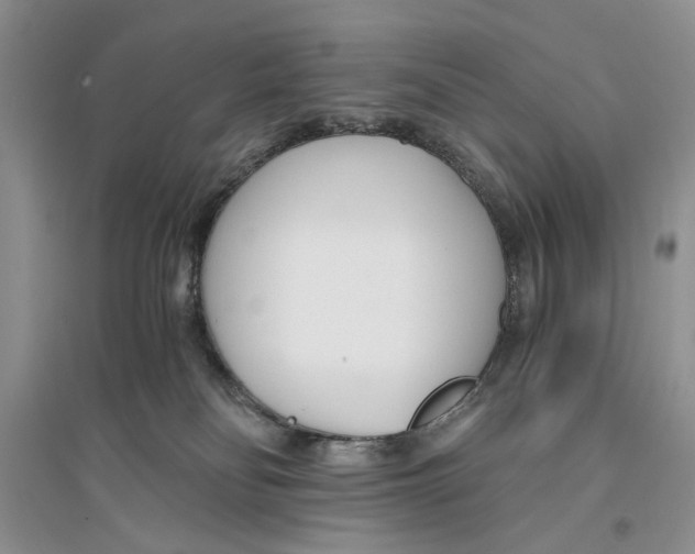 X0000096200134200802151534