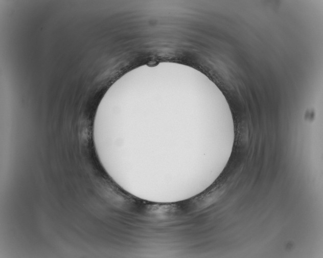 X0000096200135200802151534