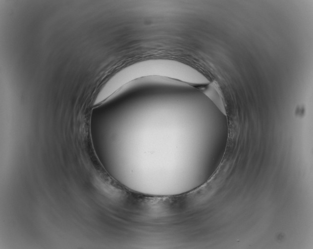 X0000096200136200802151534