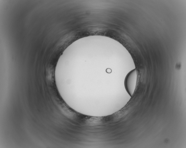 X0000096200138200802151534