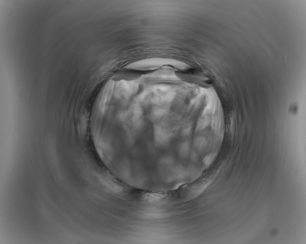 X0000096200139200802151534