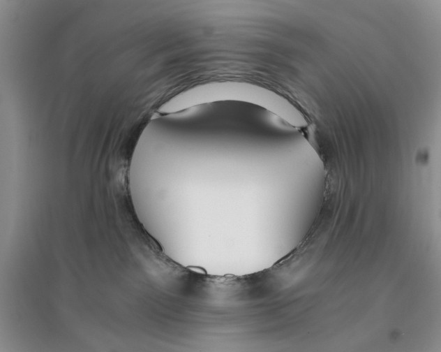 X0000096200141200802151534