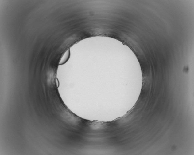 X0000096200142200802151534