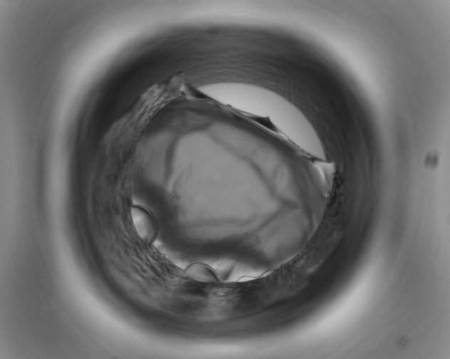 X0000096200143200802151534