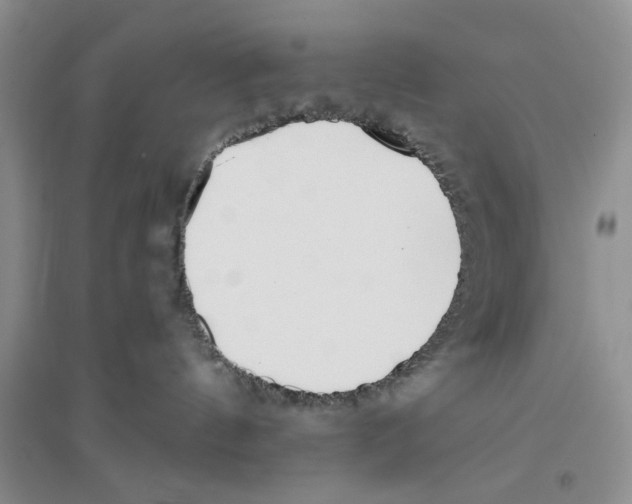 X0000096200144200802151534