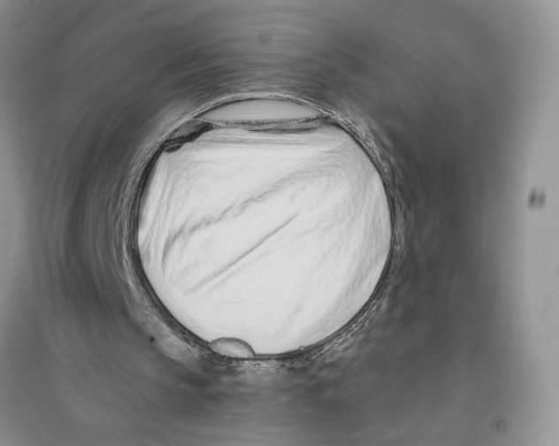 X0000096200145200802151533