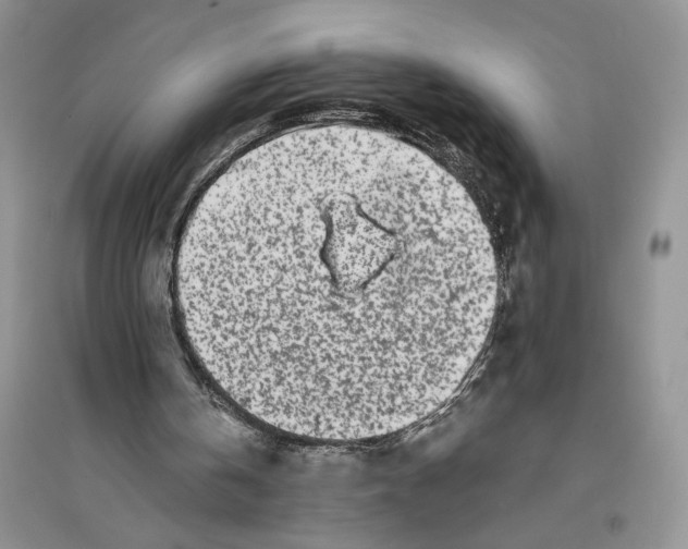 X0000096200146200802151533