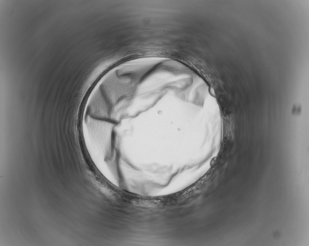 X0000096200147200802151533