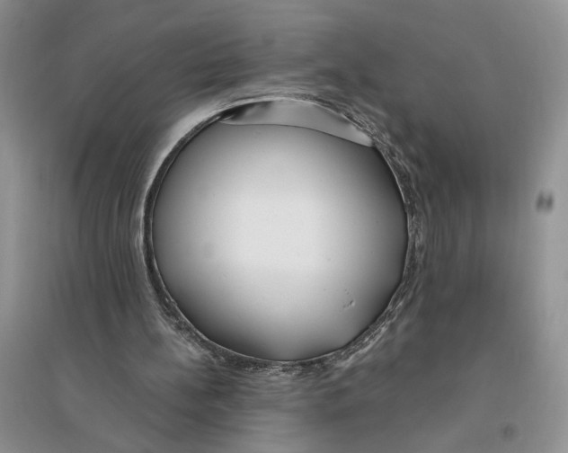 X0000096200148200802151533