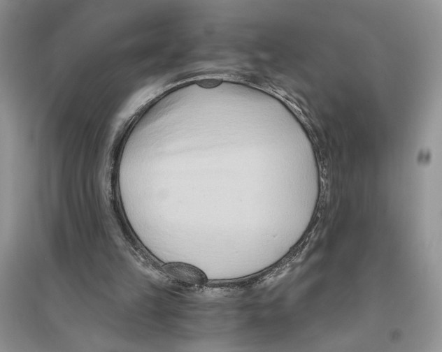 X0000096200149200802151533