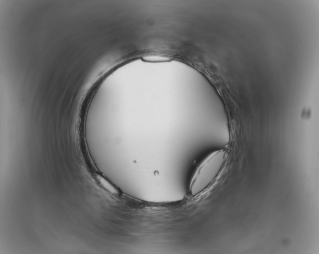 X0000096200150200802151533