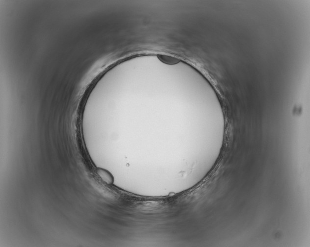 X0000096200151200802151533