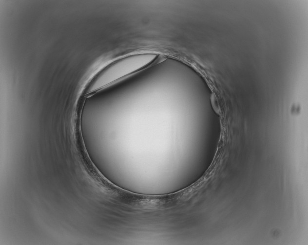 X0000096200152200802151533