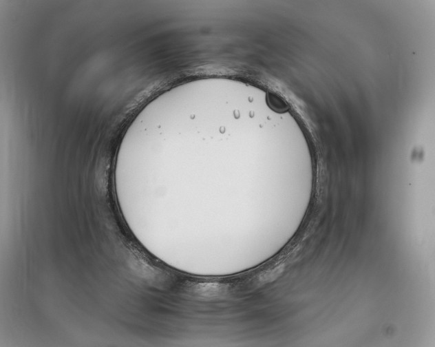 X0000096200153200802151533