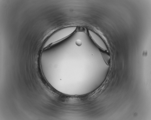 X0000096200154200802151533