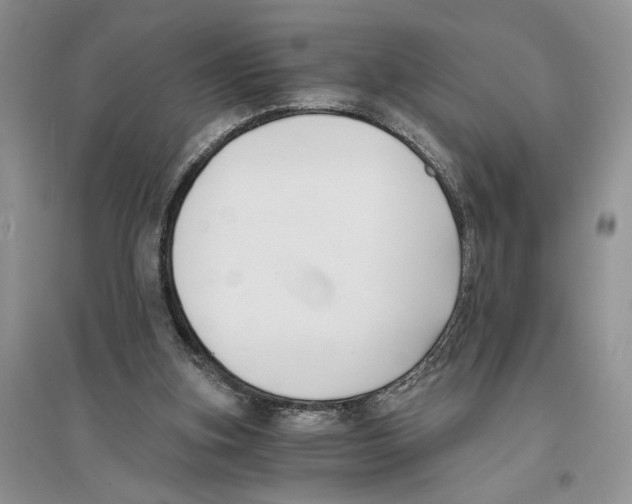 X0000096200155200802151533