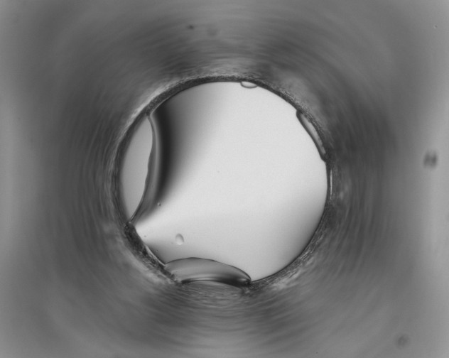 X0000096200156200802151533