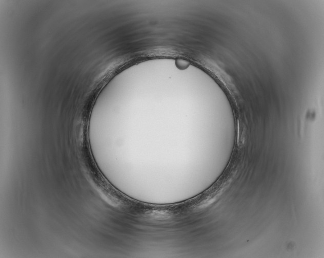 X0000096200157200802151533