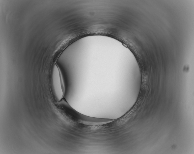 X0000096200158200802151533