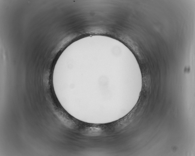 X0000096200159200802151533