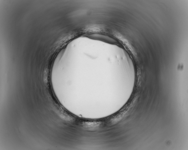 X0000096200161200802151533