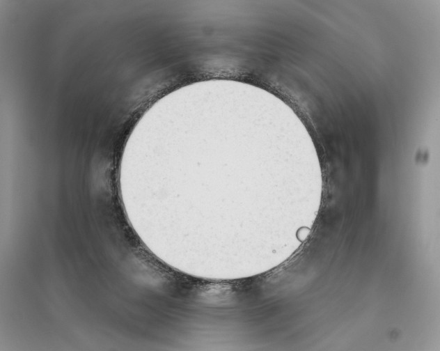 X0000096200162200802151533