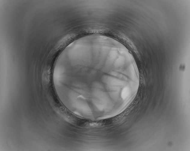 X0000096200163200802151533