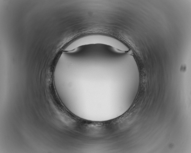 X0000096200164200802151533