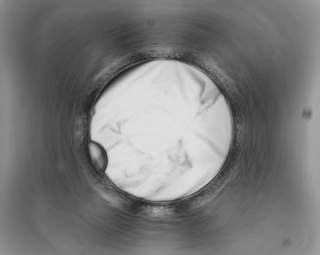 X0000096200165200802151533