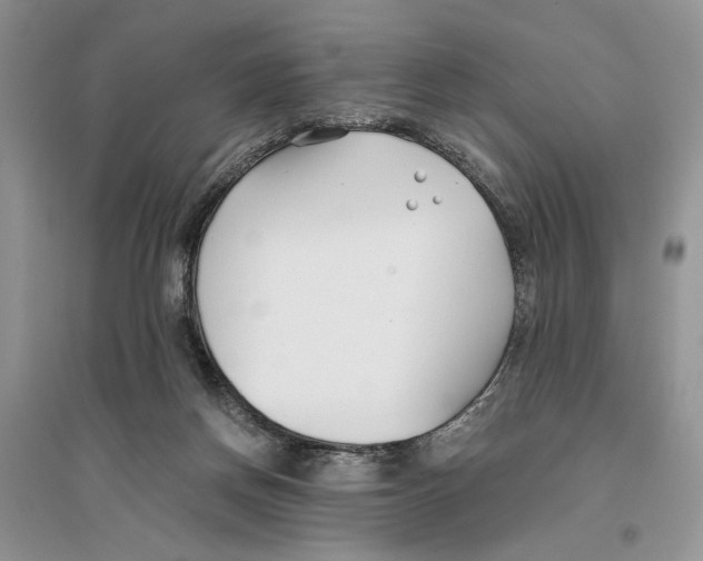 X0000096200166200802151533