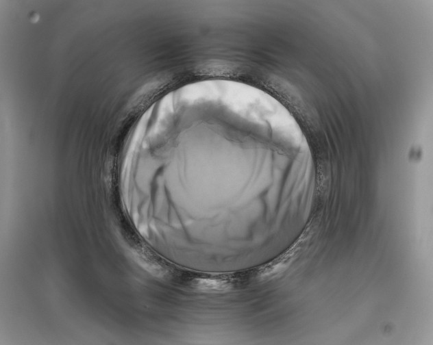 X0000096200167200802151533