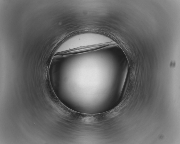 X0000096200168200802151533