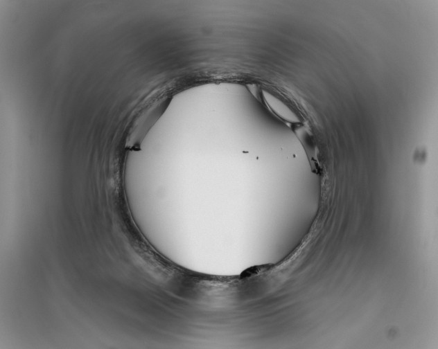 X0000096200170200802151533