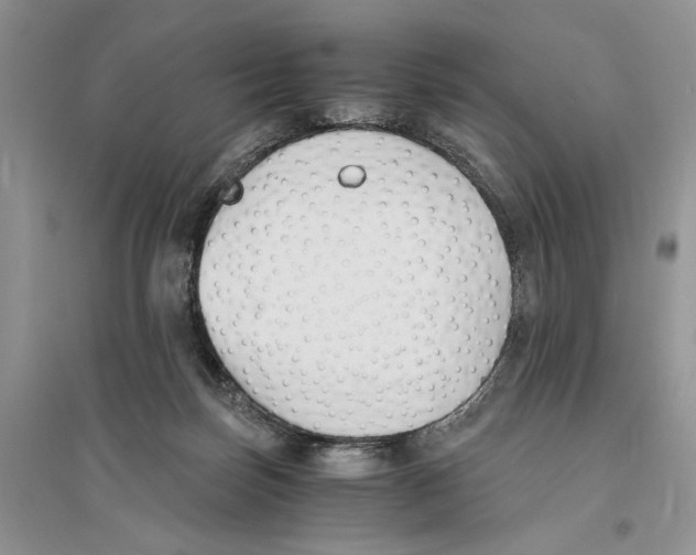 X0000096200171200802151533