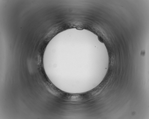 X0000096200173200802151533