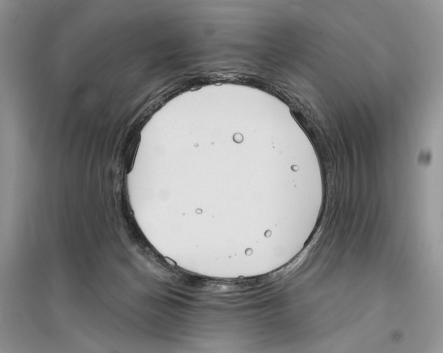 X0000096200174200802151533