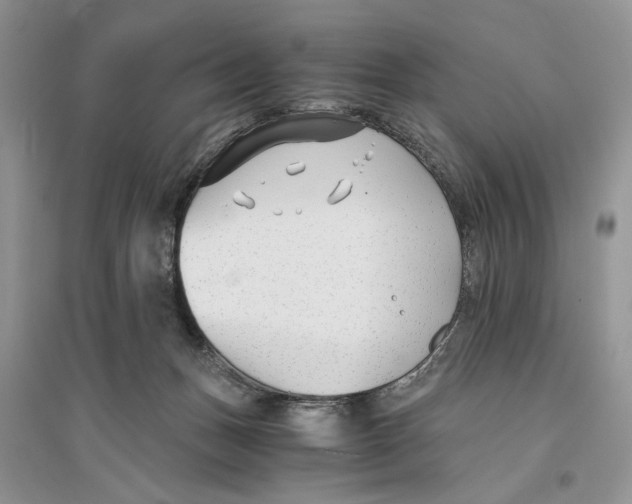 X0000096200175200802151533