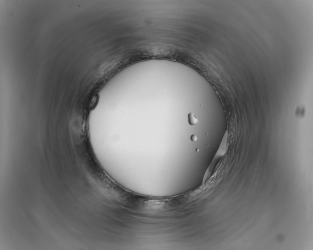 X0000096200176200802151533