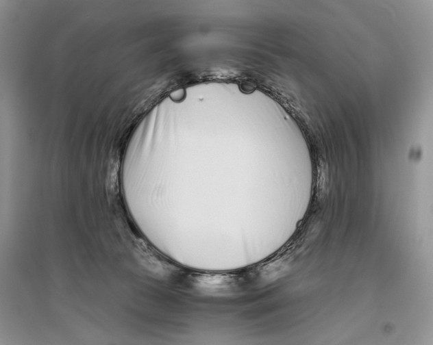 X0000096200177200802151533