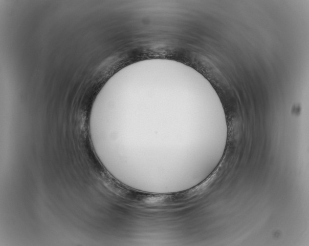 X0000096200178200802151533