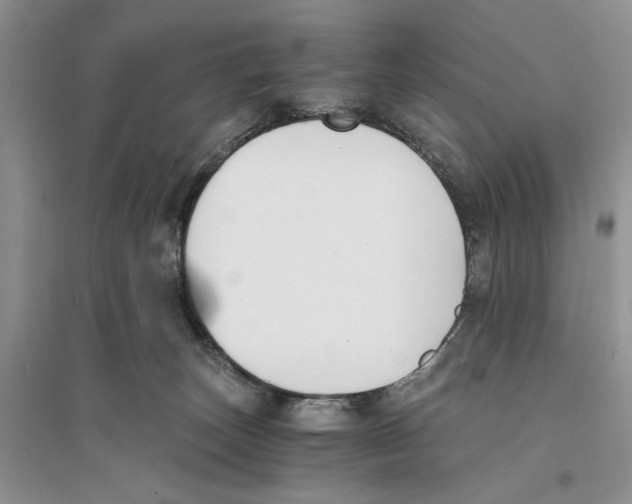 X0000096200179200802151533