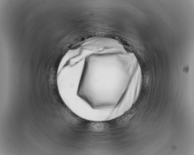 X0000096200181200802151533