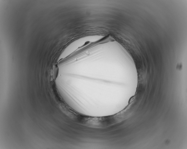 X0000096200182200802151534