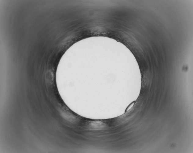 X0000096200183200802151534