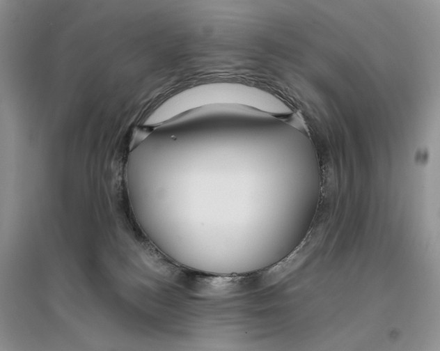 X0000096200184200802151534