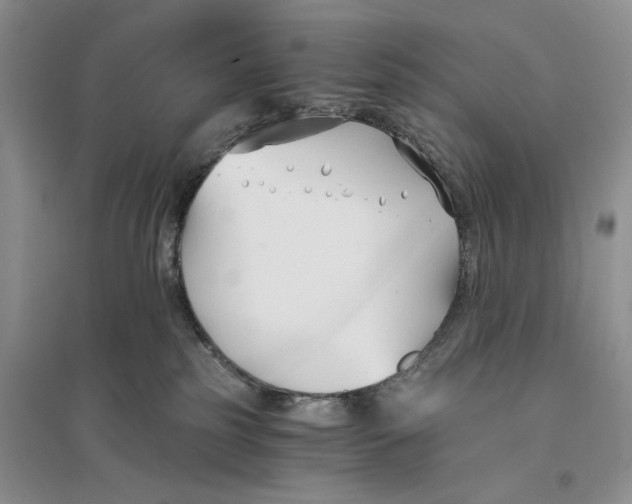 X0000096200185200802151534